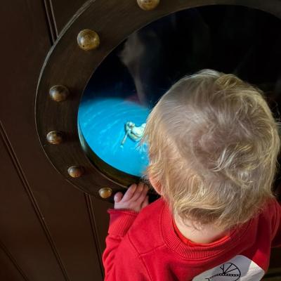 Image from Auntie Annies