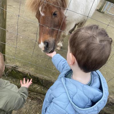 Image from Gemma