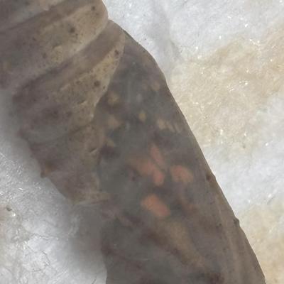 Image from Heather