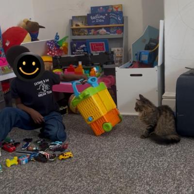 Image from Fizz