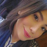 Ansa