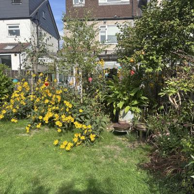 Image from lisa