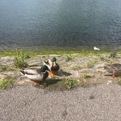 Image from oliwia