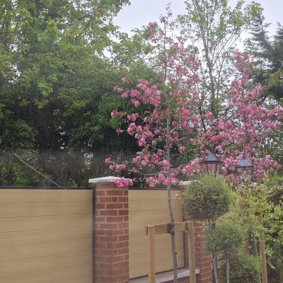 Image from Nell