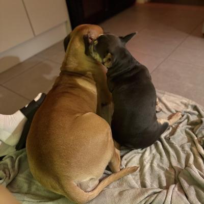 Image from Sophie Bartholomew