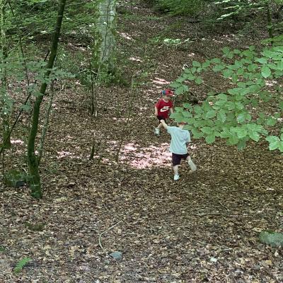 Image from Susannah 