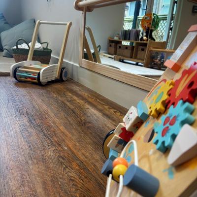 Image from The Mount