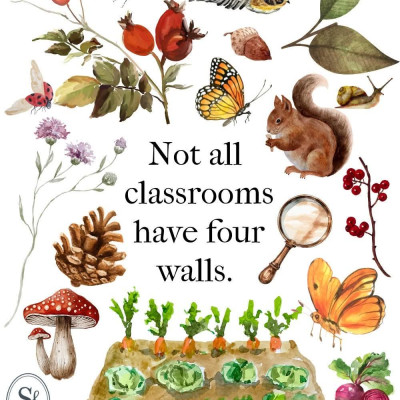 Image from Zuzana