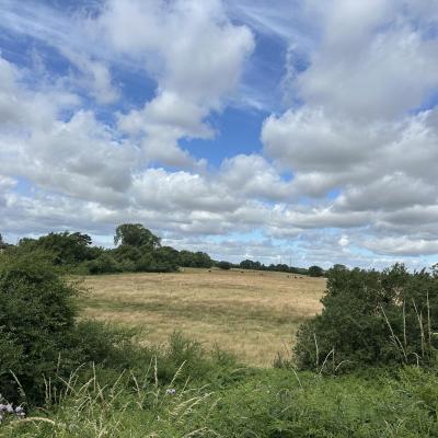 Image from Nichola
