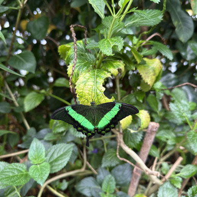 Image from Wendys childminding