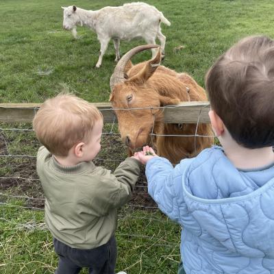 Image from Gemma