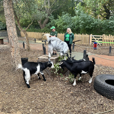 Image from Wendys childminding