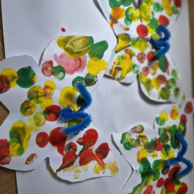 Image from Ana