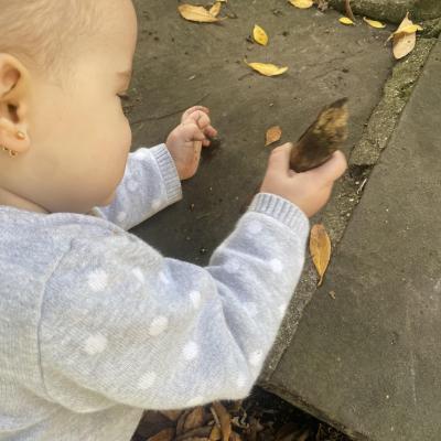 Image from Sarah