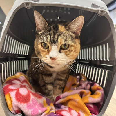 Image from Wendys childminding