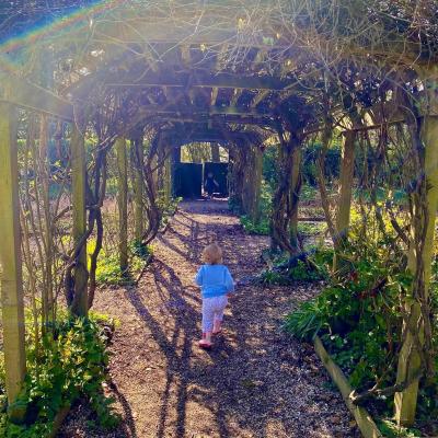 Image from Imogen
