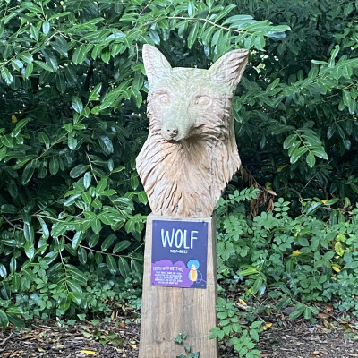 Image from Universal Guardian