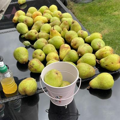 Image from Luiyana