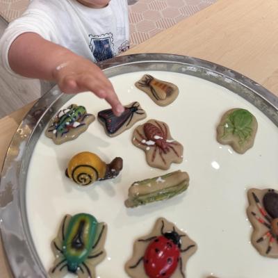 Image from Lina