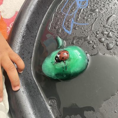 Image from Kiddies