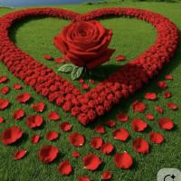 Sharmin