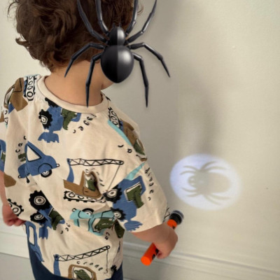 Image from First Steps Learning