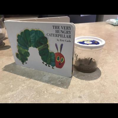 Image from Theresa