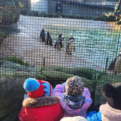 Image from Caterpillars