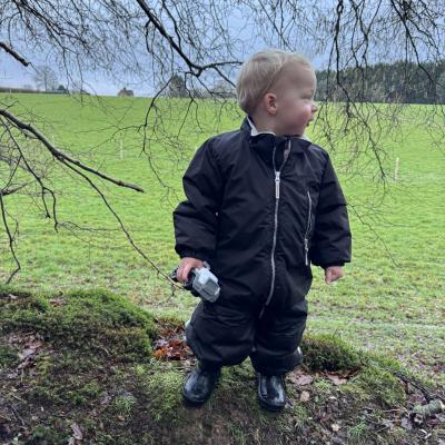 Image from LittleBarn