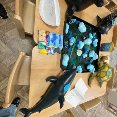 Image from Little bloom Nursery