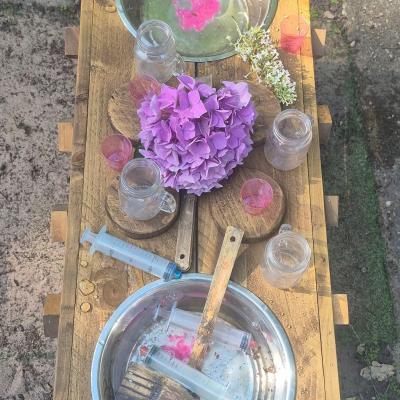 Image from Suzanne Lynn