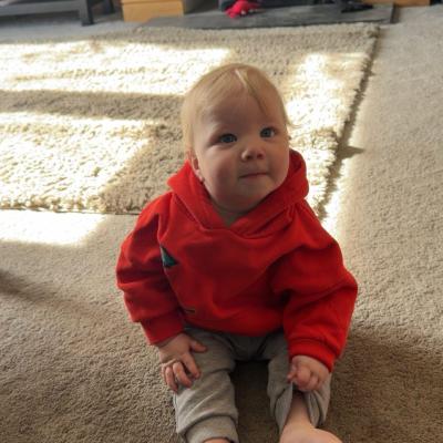 Image from Olly 