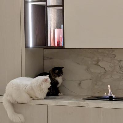 Image from Sephie