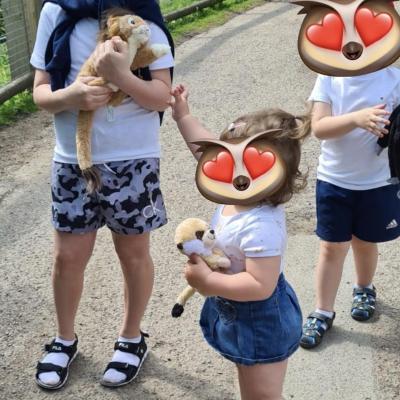 Image from Ewa Monika 