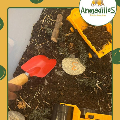 Image from Armadillos Nursery