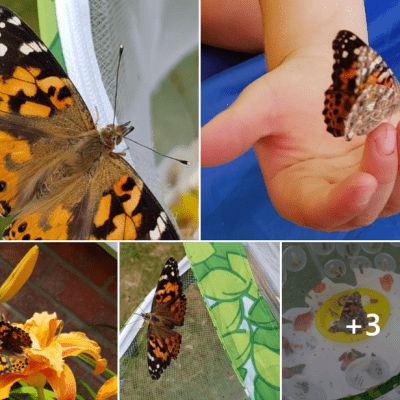 Image from Coutts Childcare