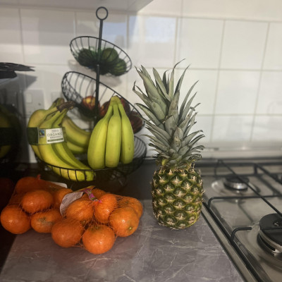 Image from LITTLE LIGHT NURSERY