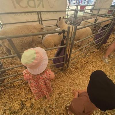 Image from Suzanne Lynn