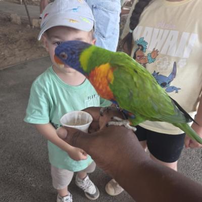 Image from MamaBear