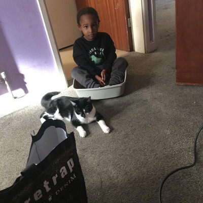 Image from kieshan 