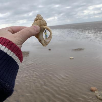 Image from Playful Dragonflies