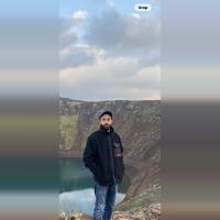 Shahin