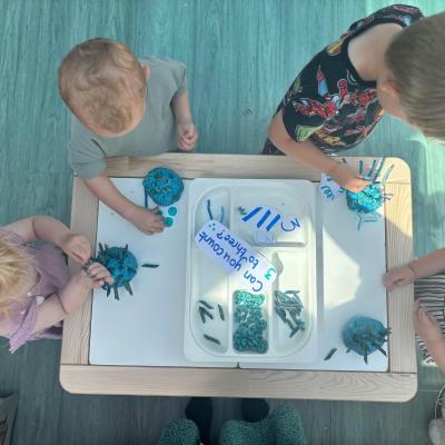 Image from Sam