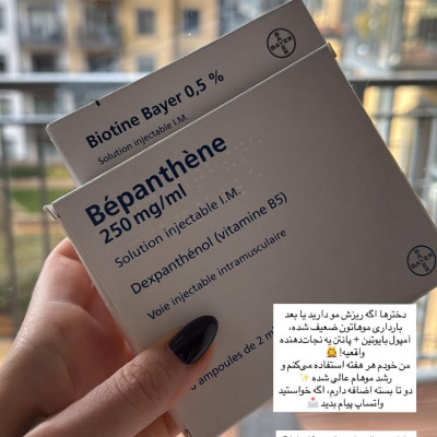 Image from Tiny Explorers 