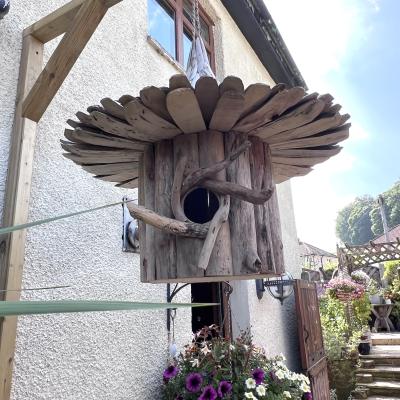 Image from Mischelle Akid