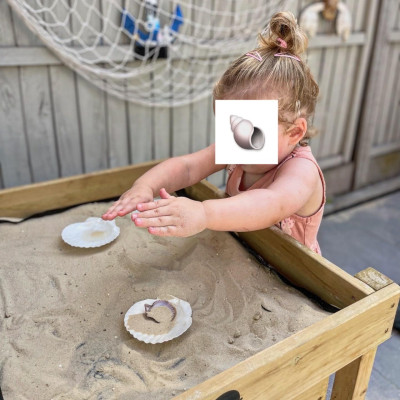 Image from Early Birds 
