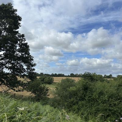 Image from Nichola