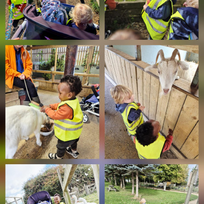 Image from Teddy Day Childcare