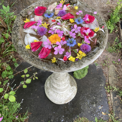 Image from Demeter