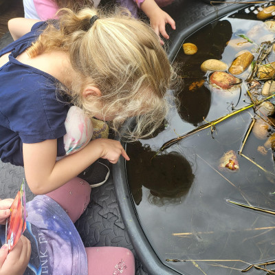Image from Adventure Glen Child